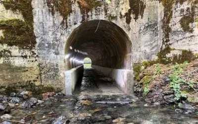 Union Pacific Railroad Arch Culvert